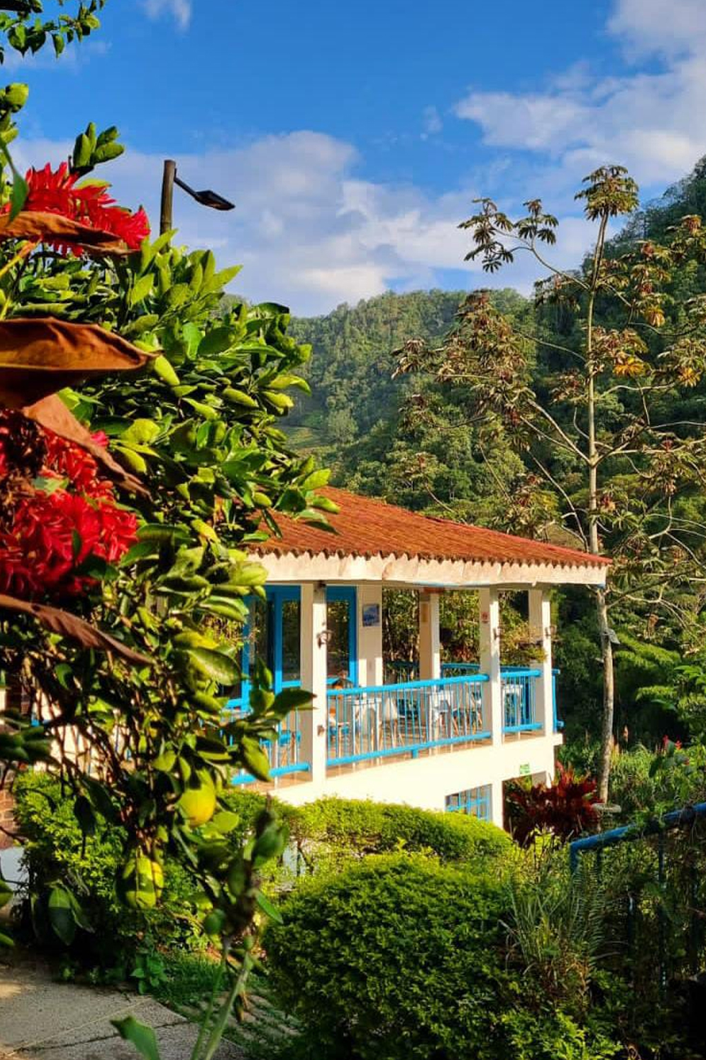 Casa
